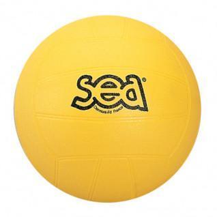 Initiering volleyboll sporti frankrike Sea