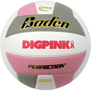 Volleyboll Baden Sports Perfection